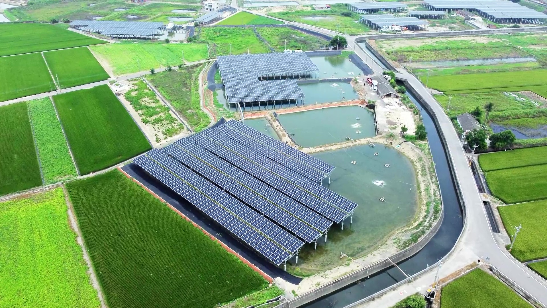 【永鑫能源】 I  漁電共生影片 養殖階段篇